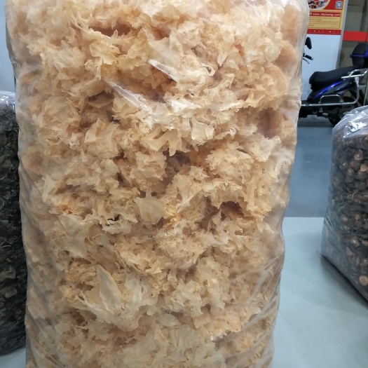 上海小花银耳 干银耳 片状银耳 淡黄色