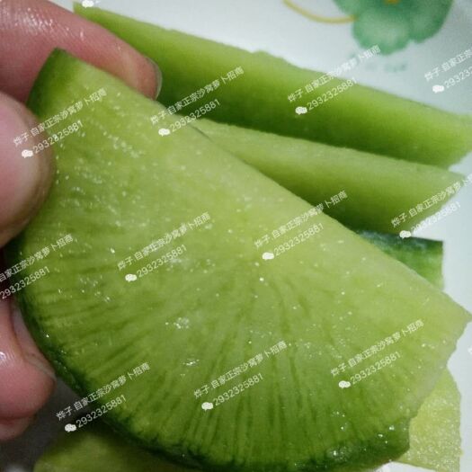 天津 自家正宗沙窝萝卜（批发）