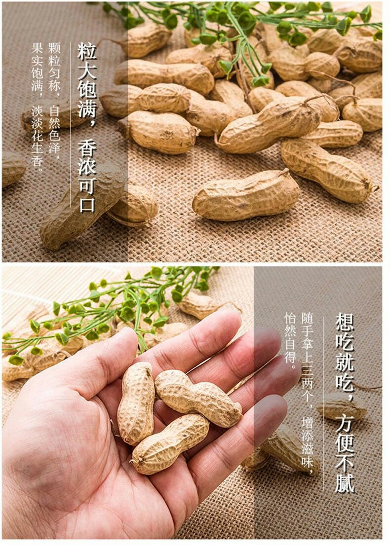 2025年新货  带壳花生 干货 粒粒饱满