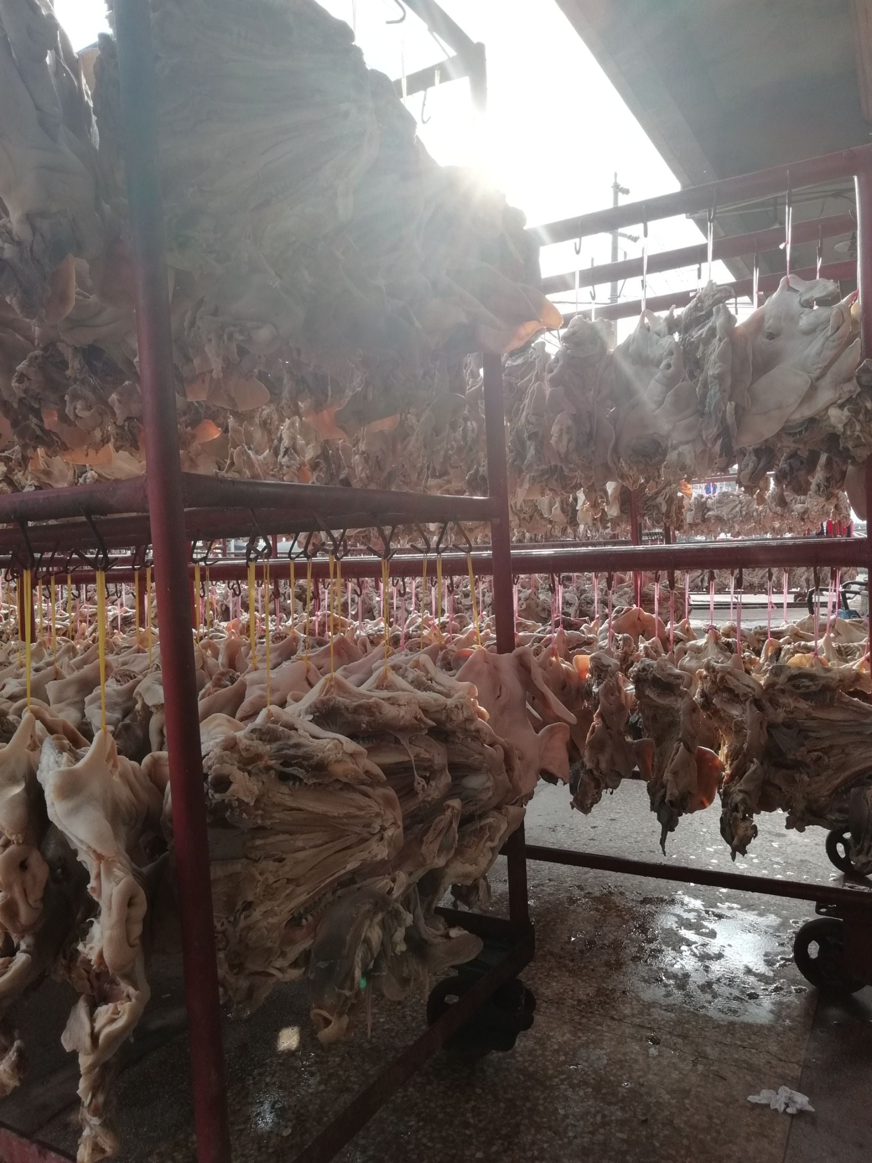 步凤咸猪头销售中心，色泽红润，香糯浓醇，咸甜适度，肥而不腻