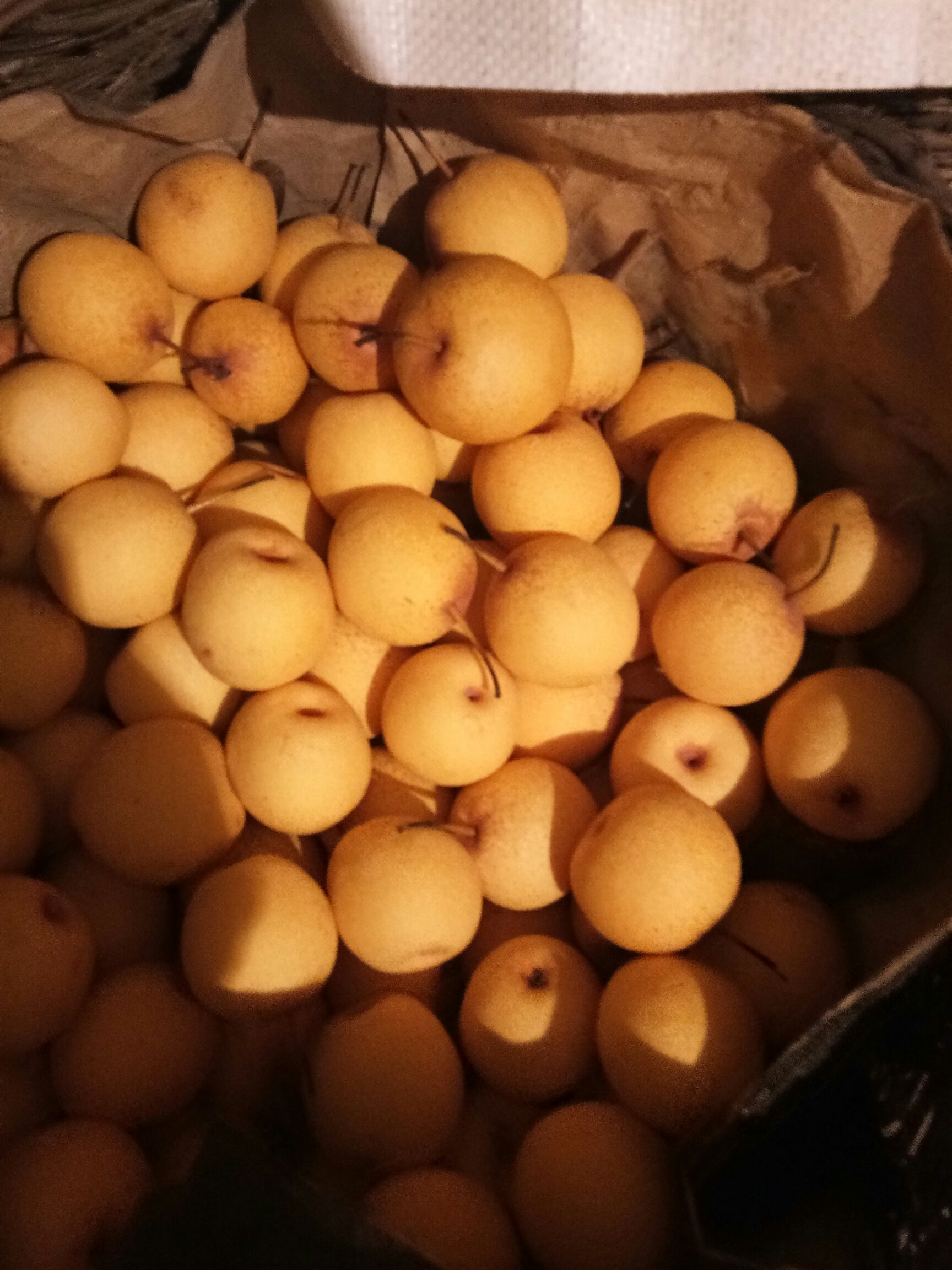 白梨 60mm以上 100-150g