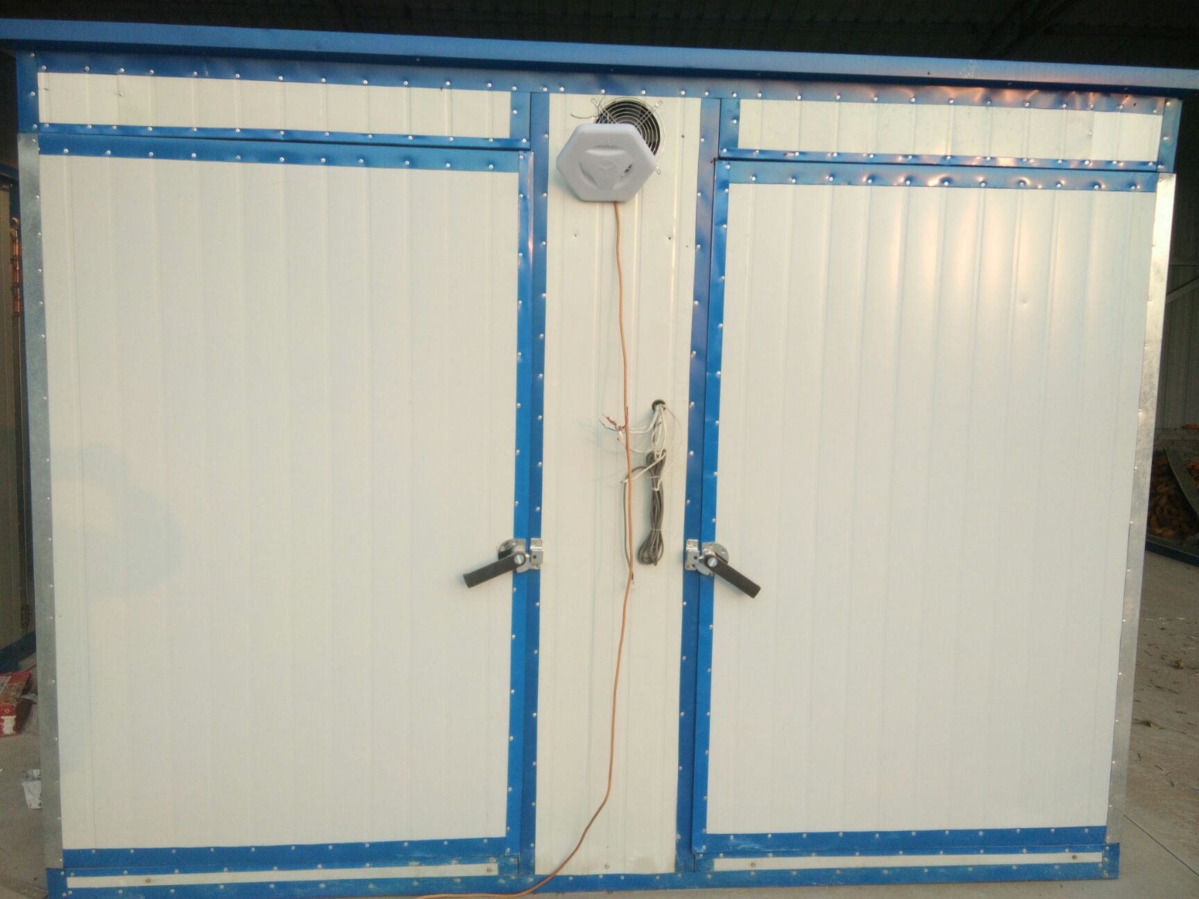 四季金银花苗 封丘正宗树型四季花原产地直供