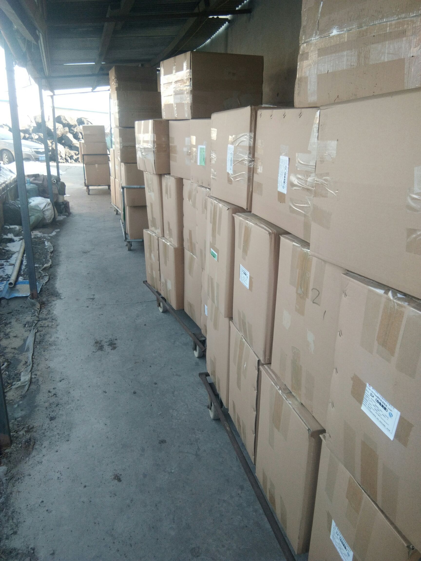 【金虫草】 干货250克，新鲜无硫，产地批发，代加工！