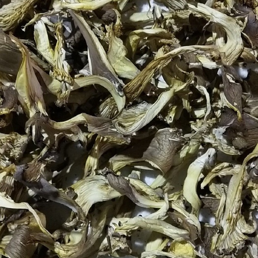 辉县市鲜平菇  烘干平菇条