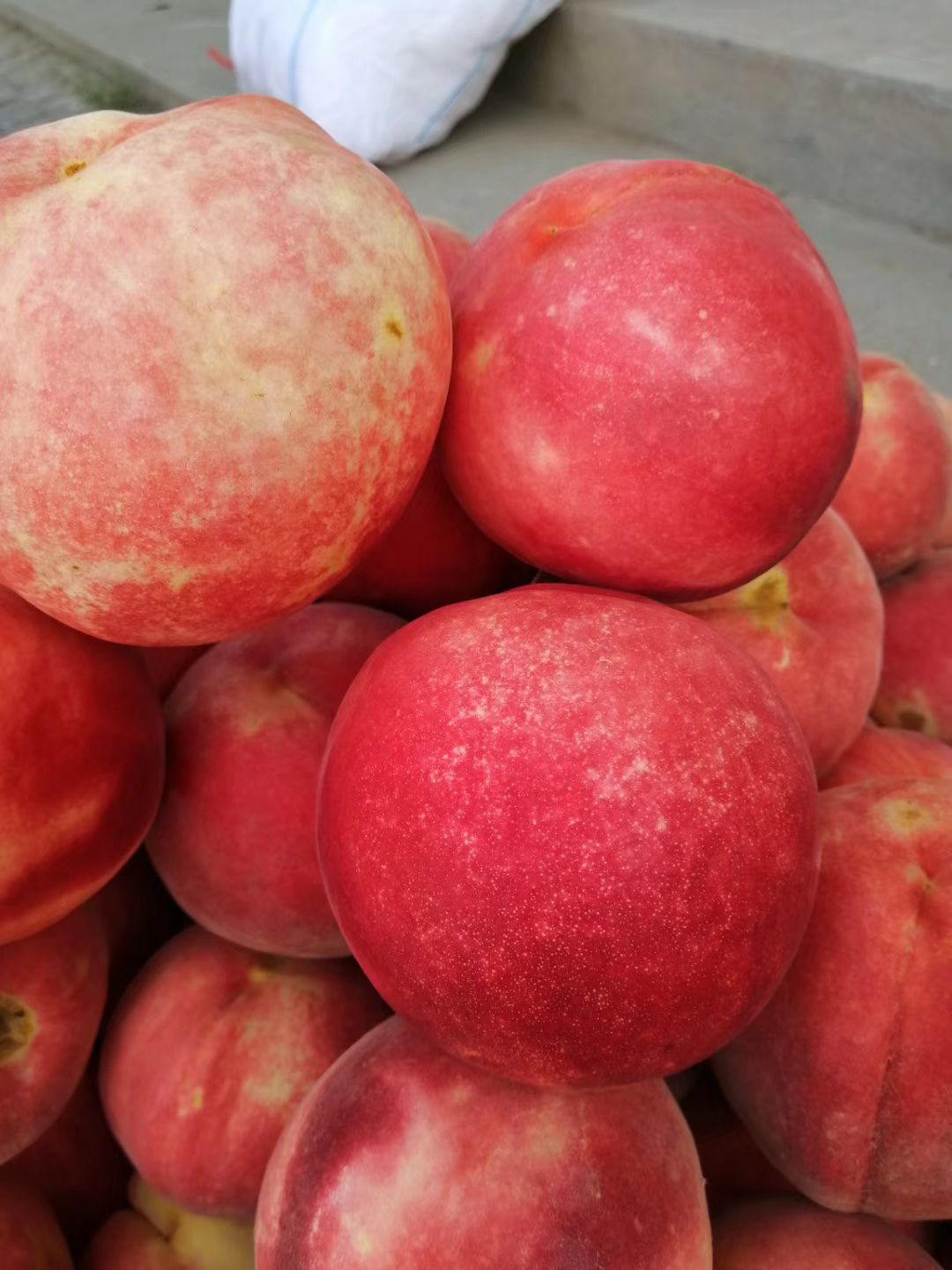 黄桃1号 60mm以上 4两以上