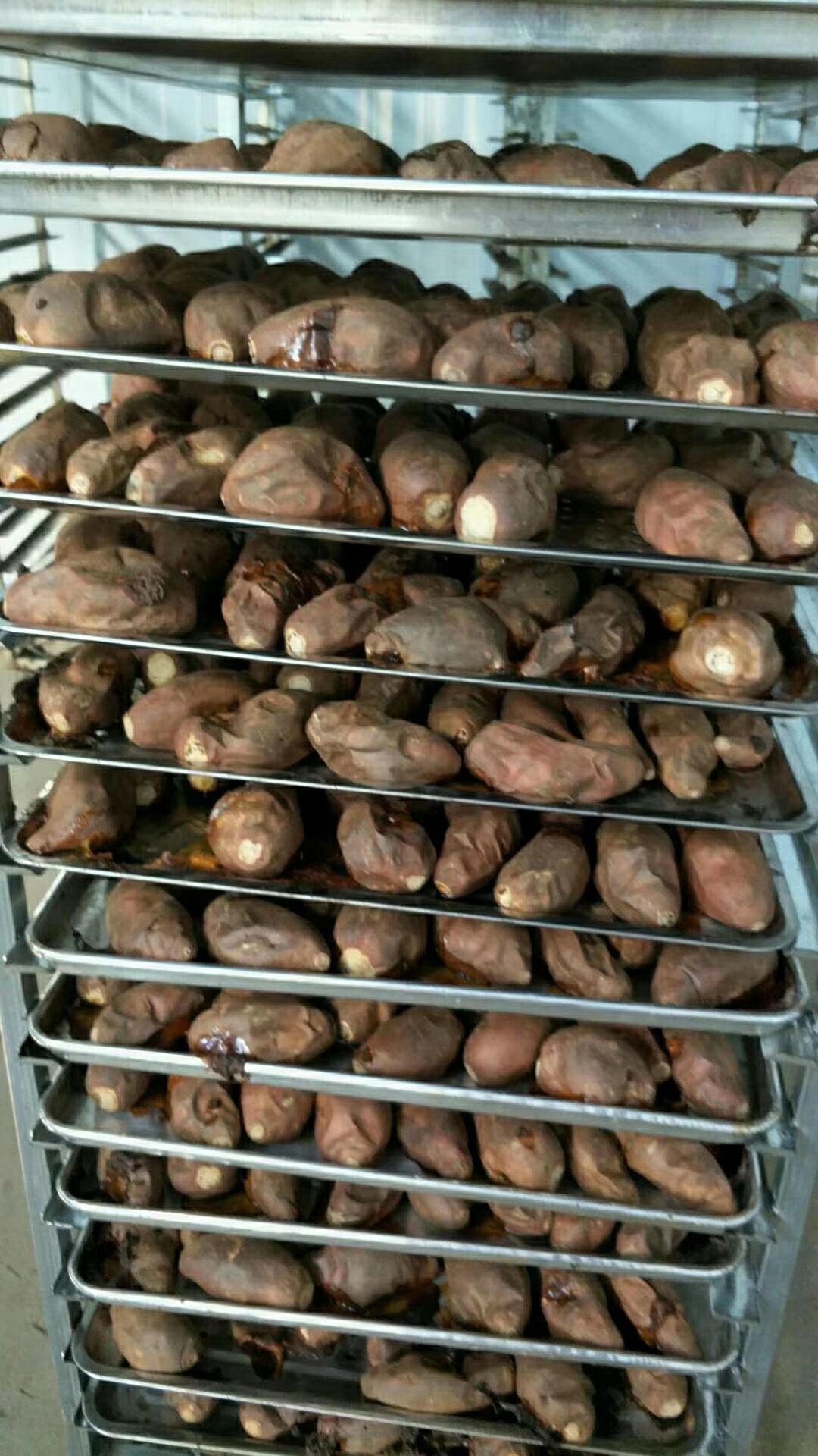 烟薯25 3两~6两 红皮