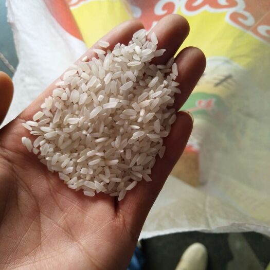 盈江县云南软米 三等品 中稻 粳米