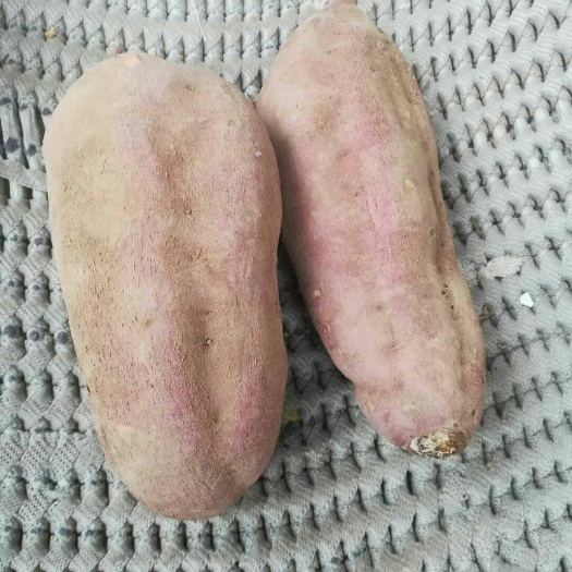 咸阳心香红薯 混装通货 红皮 
