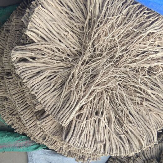 陇西县白条党参 