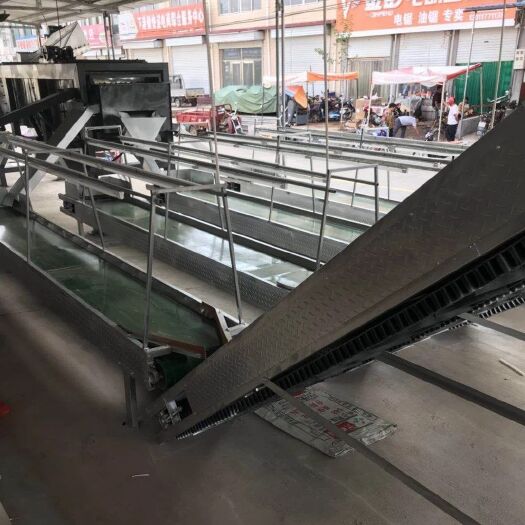 泰安山东油栗 特级 中粒