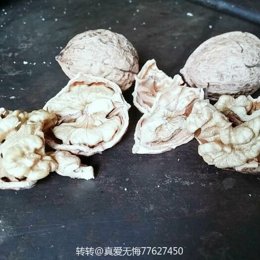 赫章县贵州核桃 26~30mm 散装 去皮