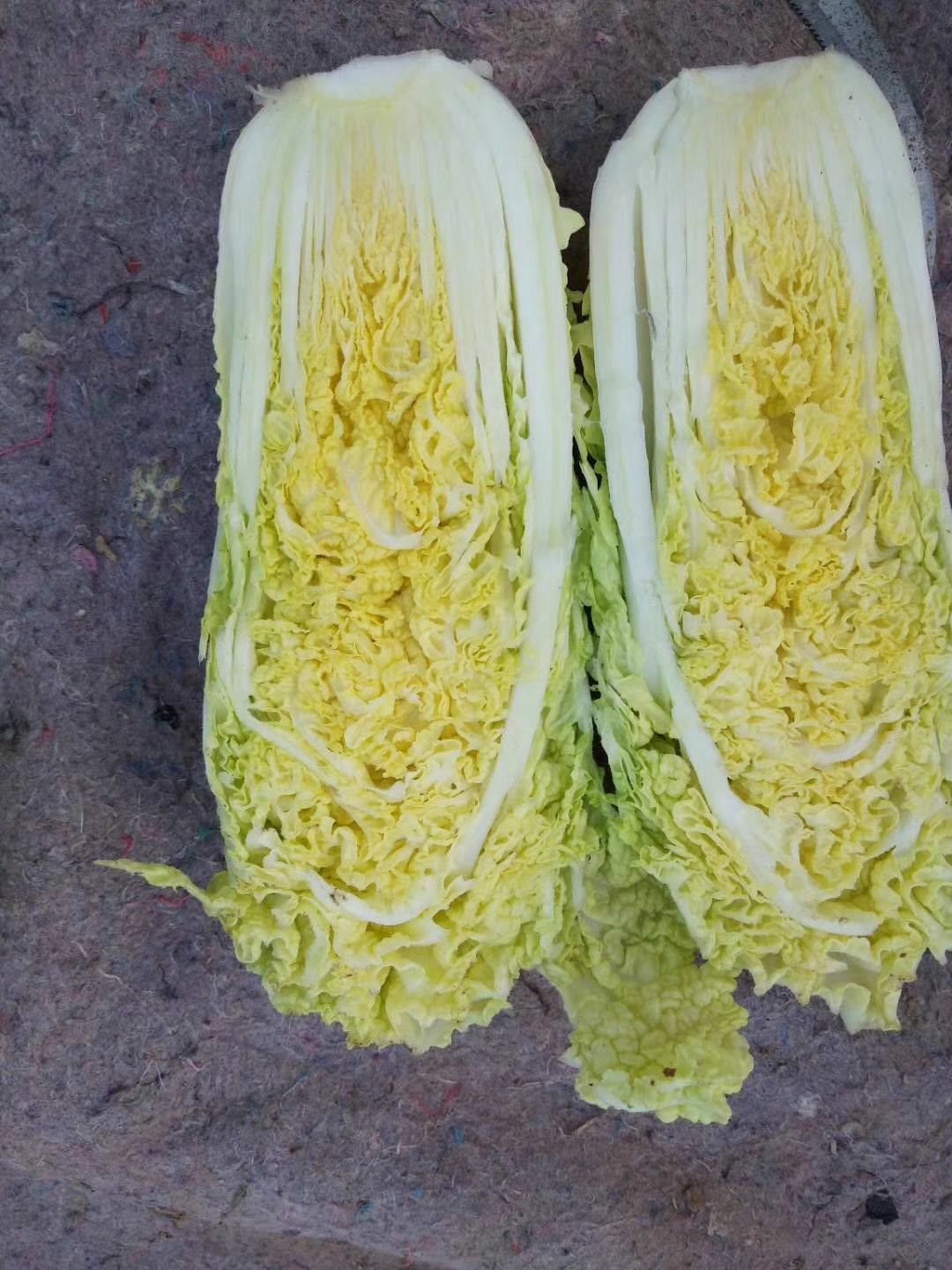 黄心娃娃菜 10两以上