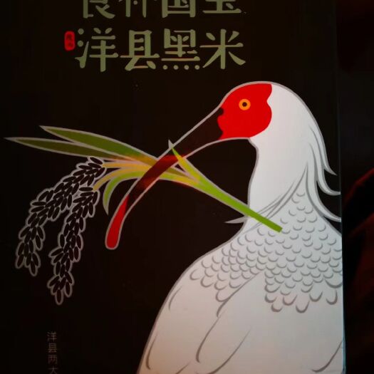 洋县洋县黑米 