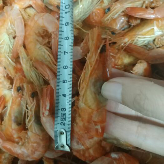博兴县烤虾干