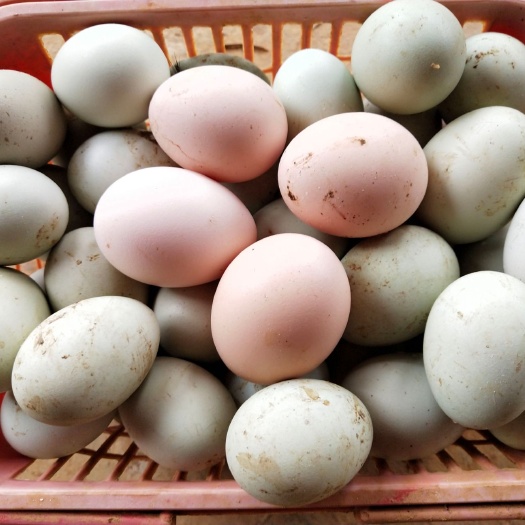 凯里市土鸡蛋 购20箱优惠5元/箱