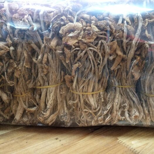 上海棕褐色帽茶树菇 12~14cm 已开伞 干茶树菇 