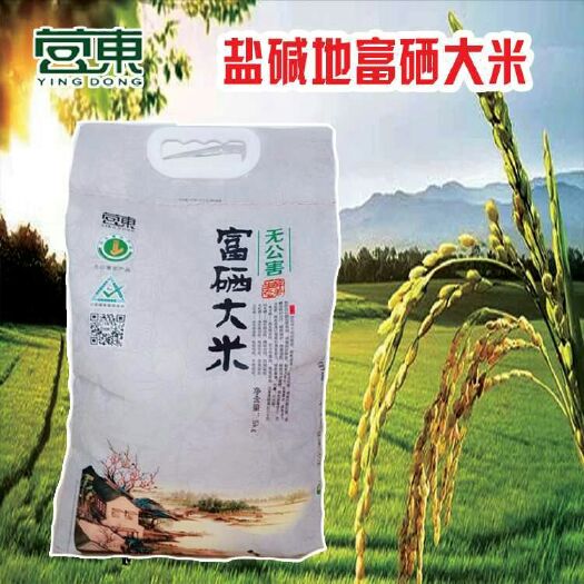 营口无公害富硒大米 一等品 一季稻 粳米