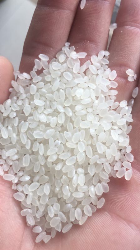 密山市东北大米 一等品 晚稻 粳米 