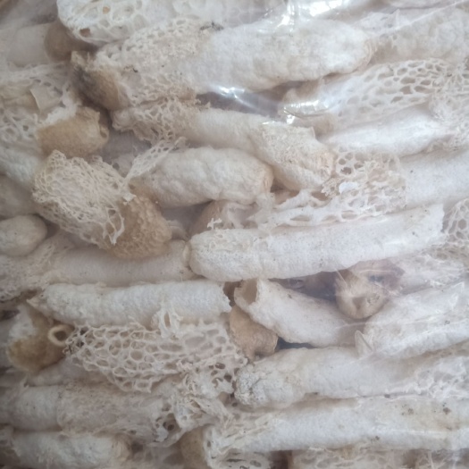 织金县织金竹荪 一级 干竹荪 1.5~2cm 10cm~15cm