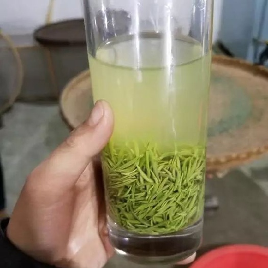 信阳信阳毛尖 一级 散装