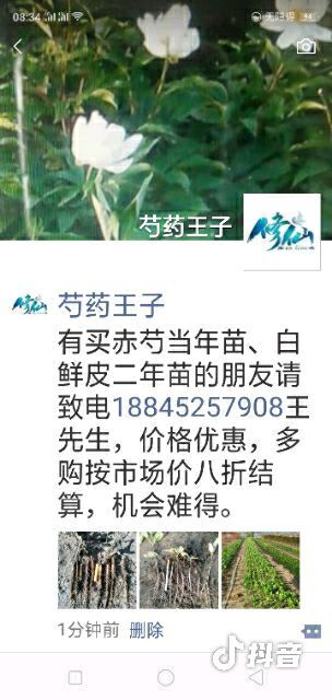 泰来县白鲜皮 