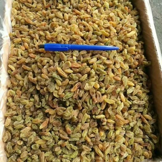 广州新疆绿葡萄干 优等