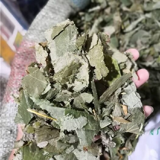 安国市小叶淫羊霍