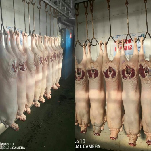 呼伦贝尔羊肉类 生肉 