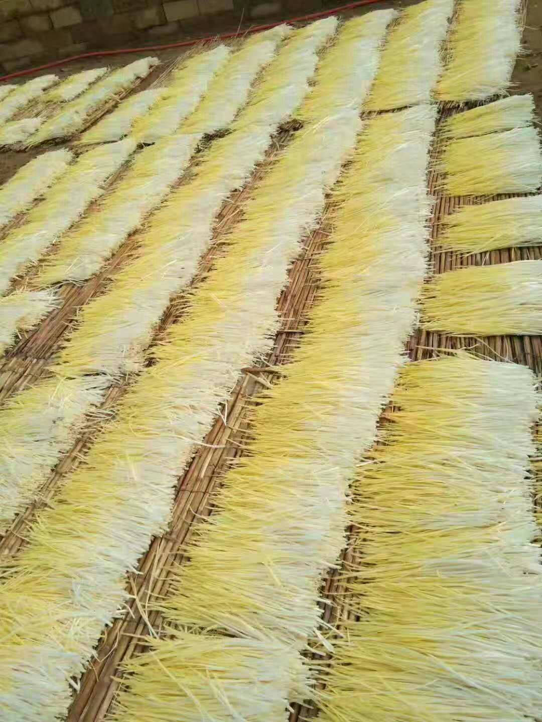 黄金韭 头茬 30~40公分 