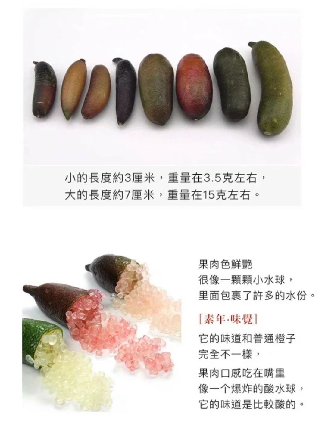 手指柠檬嫁接苗