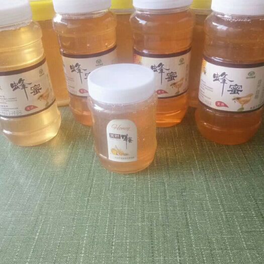 涿州市荆条蜜 塑料瓶装 2年以上 