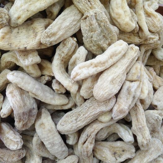 昆明天麻