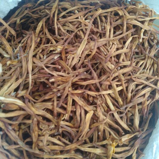 西安大荔黄花菜 一级 袋装