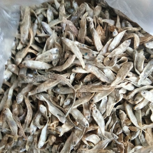 海兴县鱼粉