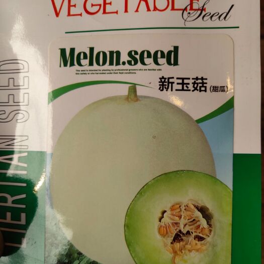 扶沟县玉菇甜瓜种子  新玉菇~果肉绿色，抗病性强，易座果，含糖量高
