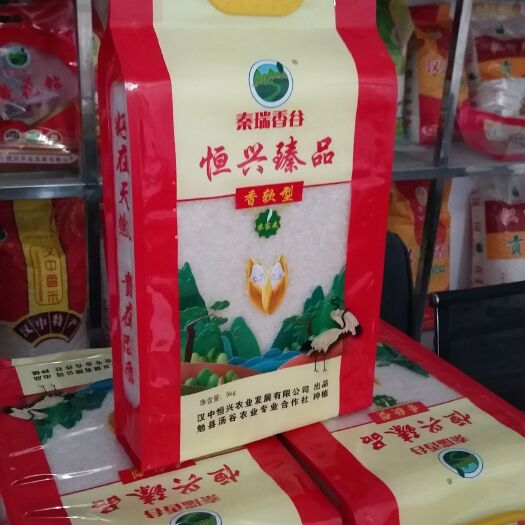 勉县黄花粘大米 一等品 一季稻 籼米 