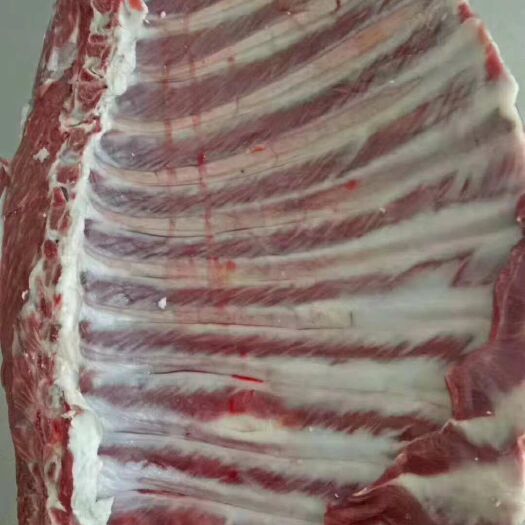 鄂尔多斯 内蒙古草原山羊肉十斤起发