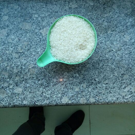沈阳圆粒大米 一等品 晚稻 粳米