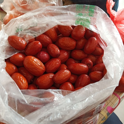 神木市黑枣 二级