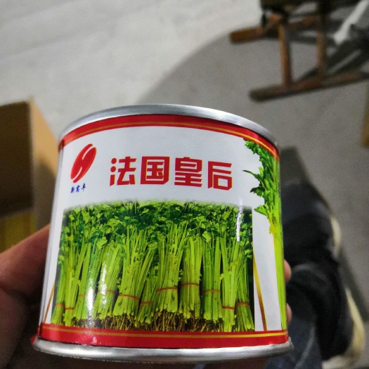 临沂法国皇后芹菜种子 原种 ≥85% 盒装 