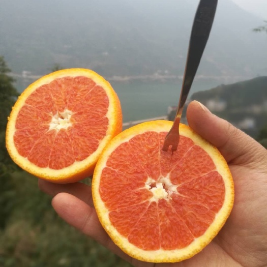 秭归县中华红橙香甜化渣水份充足大量现货产地直发
