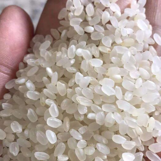 舒兰市舒兰大米 二等品 晚稻 粳米