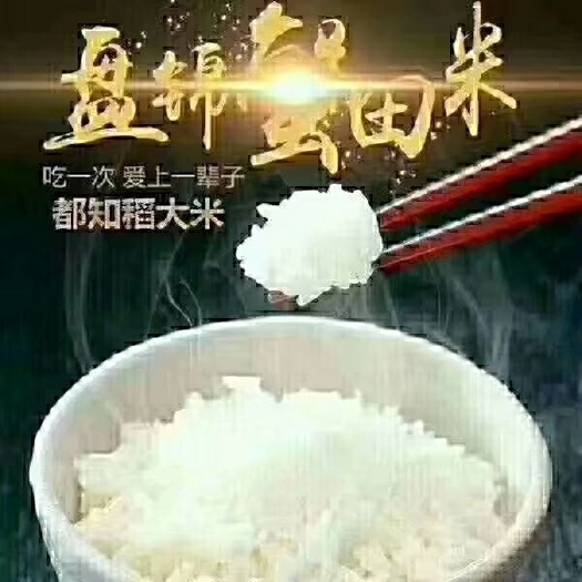 盘锦盘锦大米 一等品 一季稻 粳米