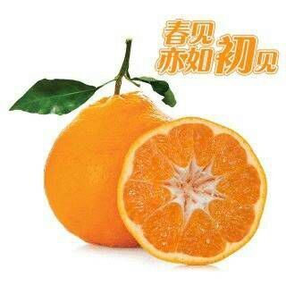 仁寿县耙耙柑 6.5 - 7cm 3两以上