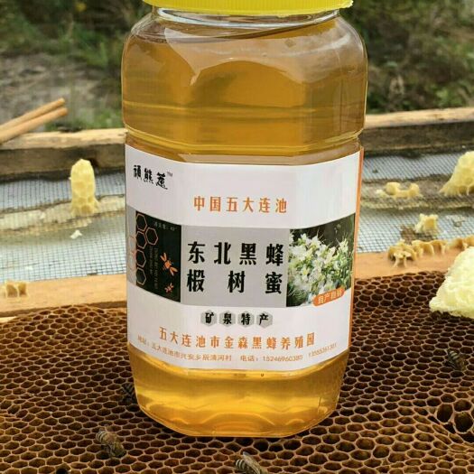五大连池东北黑蜂蜜 东北黑蜂蜜