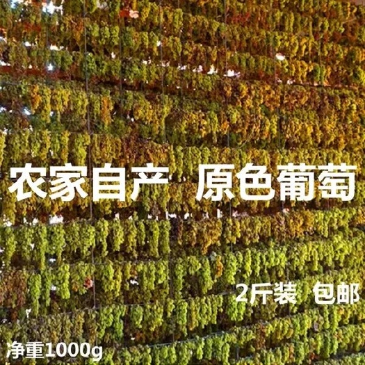 無核葡萄干  葡萄干疆特級農(nóng)家自產(chǎn)優(yōu)質(zhì)無核白吐魯番市綠香妃甜超大
