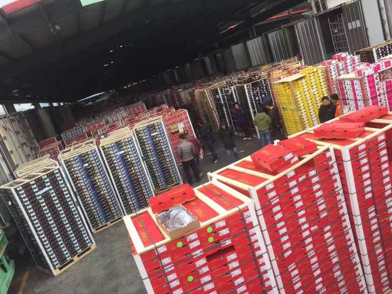 智利车厘子  28-30mm 8-12g JJ/SJ/双勾XJ