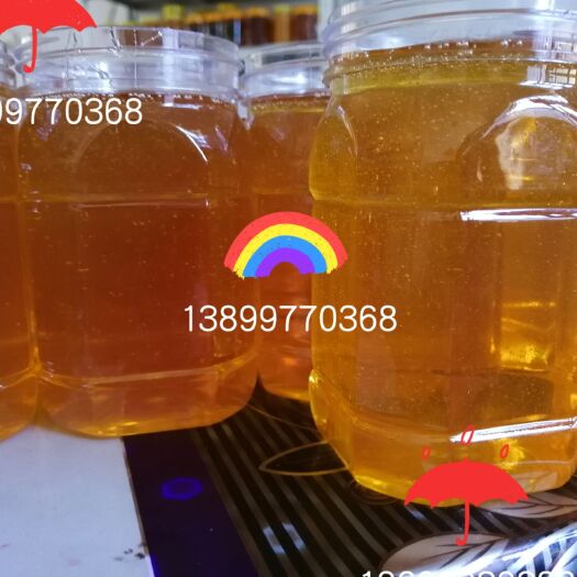 巩留县百花蜜 塑料瓶装 2年以上  