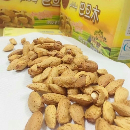 成都 新疆野生巴旦木，原味，盐焗味