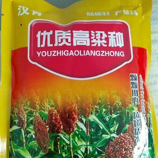 青县青糯35杂交高粱种 高粱种